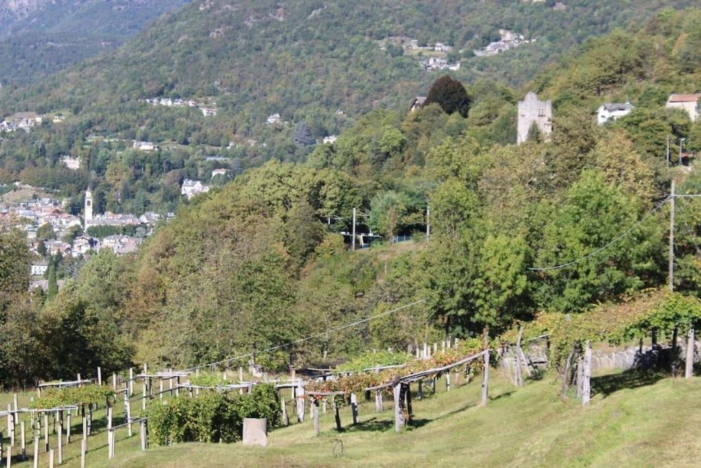 La Casa Nel Prunent Trontano Екстериор снимка